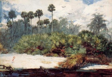 En una jungla de Florida, el pintor del realismo Winslow Homer Pinturas al óleo